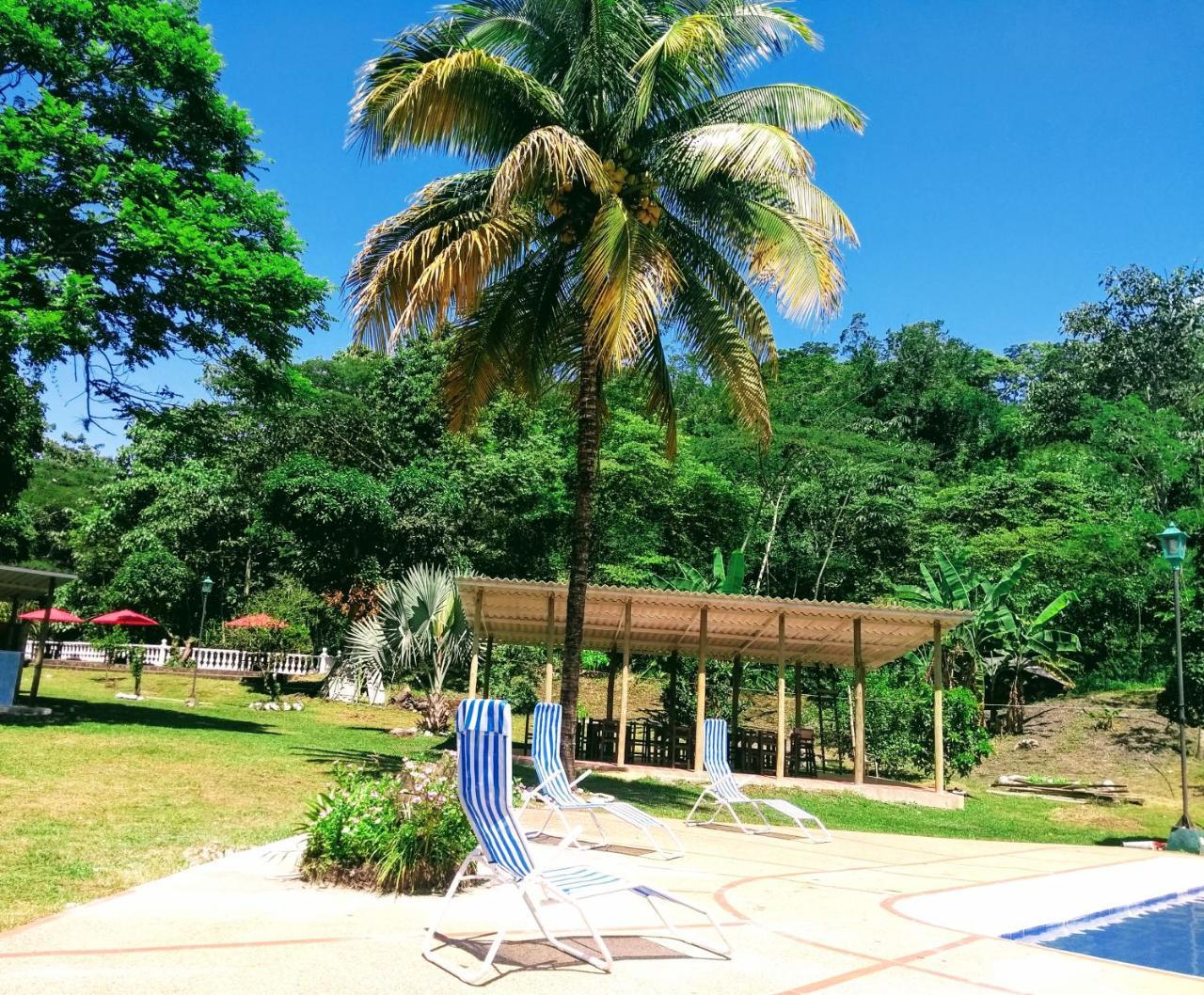 Hotel Playa By Marbar Hoteles ビジェータ エクステリア 写真